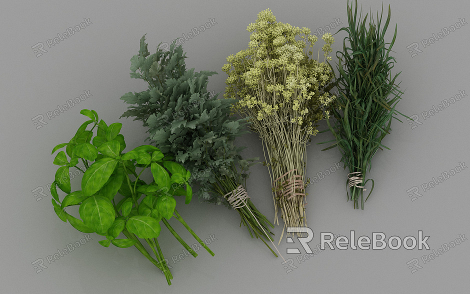 Medicinal herbs Chinese herbal seasoning plants model