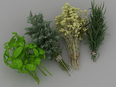 Medical Herbal Treatment Instruments With Dried And Fresh Herb Bundles 3d model