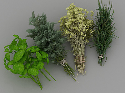 Medicinal herbs Chinese herbal seasoning plants model