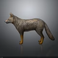 Standing Gray Fox Model With Detailed Textured Coat Brown Legs And Shiny Reflection