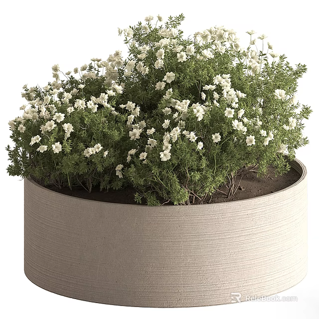 Natural Fresh Beige Cylindrical Vase With Lush White Flowers And Green Foliage 3d model 