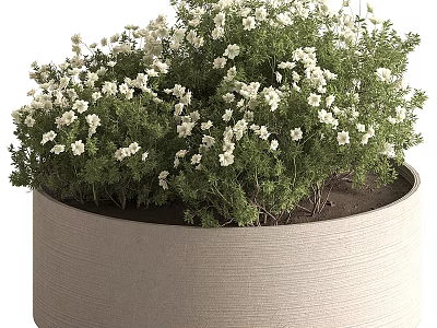 Natural Fresh Beige Cylindrical Vase With Lush White Flowers And Green Foliage 3d model