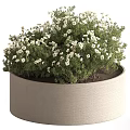 Natural Fresh Beige Cylindrical Vase With Lush White Flowers And Green Foliage