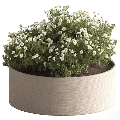 Natural Fresh Beige Cylindrical Vase With Lush White Flowers And Green Foliage 3d model