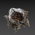 Natural Wild Bird Nest Constructed With Twigs Dry Grass And Small Debris
