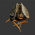Macro View Of Cicada With Red Eyes Transparent Wings Yellow Edges And Black Body