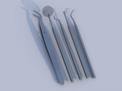 Stainless Steel Dental Medical Instruments Set With Various Professional Tools for Clinical Use 3d model