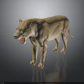 Standing Light Brown Lion With Open Mouth And Dark Background Reflection