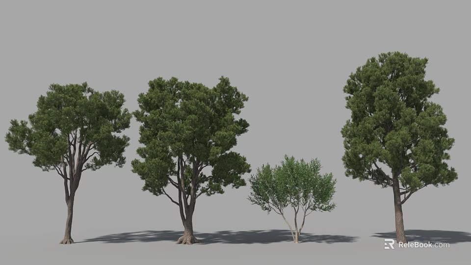 Various Arbor Trees With Different Crown Shapes Sizes And Lush Foliage 3d model
