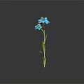 Single Blue Flower Plant With Green Stem And Leaves On Dark Background