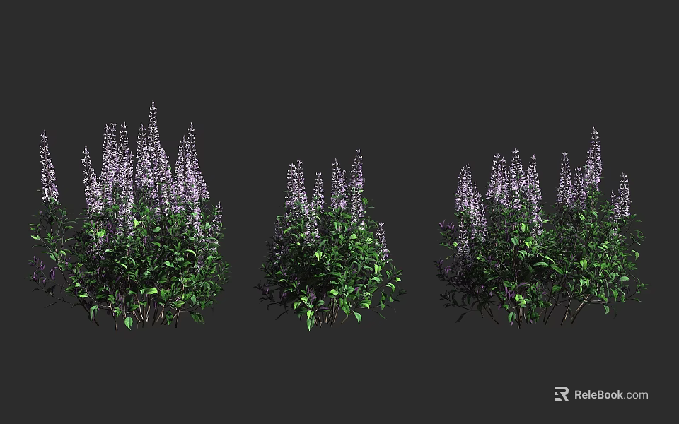 Vibrant Purple Flowering Plants with Green Leaves in Three Clusters on Dark Background 3d model 