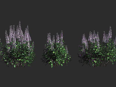Vibrant Purple Flowering Plants with Green Leaves in Three Clusters on Dark Background 3d model