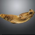 Orange Fish Floating In Mid Air Against Gray Background With Unique Textured Appearance