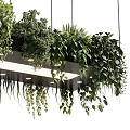 Modern chandelier green plant hanging basket 3d model