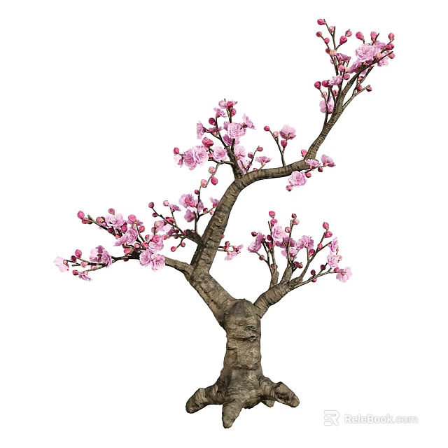 Ornamental Tree Featuring Thick Trunk And Vibrant Pink Blossoms On Branches 3d model 