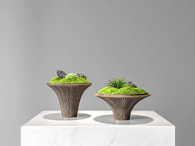 Decorative Ornament Set Conical Wood Grain Bases Green Moss Stones And Plant On Marble Tabletop 3d model