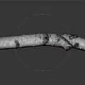 Natural Birch Wood Log Featuring White Bark And Knotty Textured Surface
