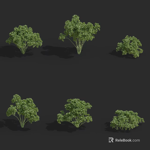 Multiple Green Plants In Various Forms And Different Sizes On Black Background 3d model