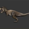 Realistic Tyrannosaurus Rex 3D Model Standing With Open Mouth And Detailed Skin