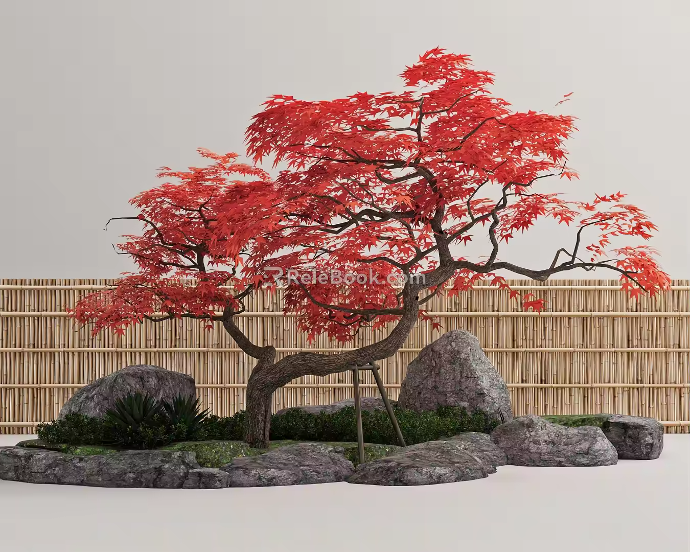 Red Maple Acer Maple Landscape Tree Model Tree 3d model