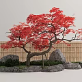 Red Maple Acer Maple Landscape Tree Model Tree 3d model