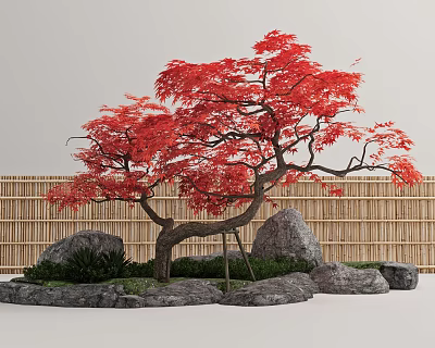 Beautiful Red Leaf Tree In Landscape With Bamboo Fence Rocks And Small Plants 3d model