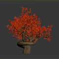 Bonsai Tree With Red Flowers And Brown Trunk Multiple Branches On White Background