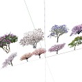 2D Tree Landscape Tree Cherry Blossom Tree Cherry Blossom Peach Blossom Tree Begonia Tree Lagerstroemia indica Jacaranda Magnolia grandiflora Lagerstroemia indica 3d model