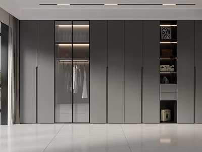 Minimalist Modern Wardrobe Interior Design With Glass Doors And Storage Cabinets 3d model