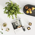 Decorative Ornament Set With Green Plant Textured Pot Black Tray Pears Glass Carafe And Magazine