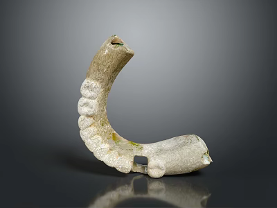 Detailed Close Up View Of Ancient Jawbone Organ With Curved Structure And Fossilized Teeth 3d model