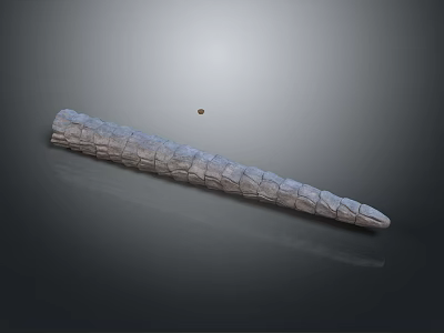 Long Gray Household Accessory With Crocodile Skin Texture And Small Black Round Object 3d model