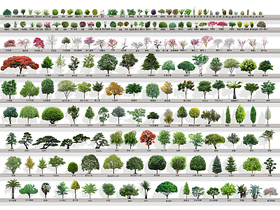 Modern Tree Landscape Tree model