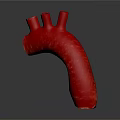 Organ System Red Tubular Structure 3D Rendered Model on Dark Background 3d model