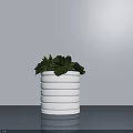 Potted Succulent Plant in White Striped Pot on Blue Tabletop Against Gray Wall