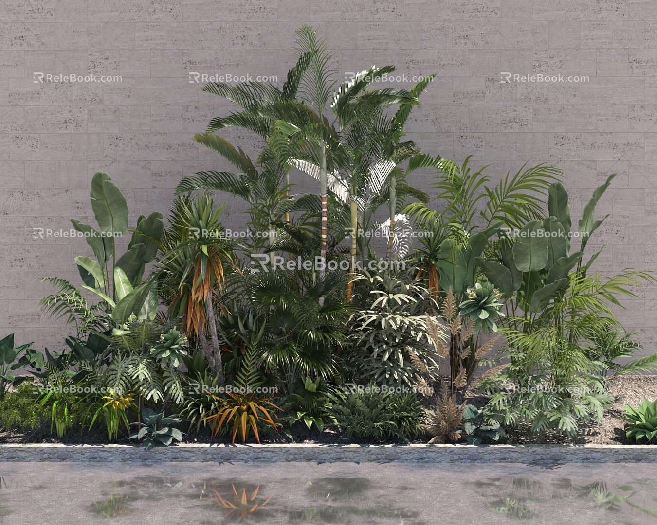 Shrubs Tropical plants Shrubs 3d model