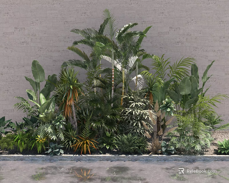Lush Tropical Shrubs And Green Plants Against Gray Wall With Water Reflection 3d model 