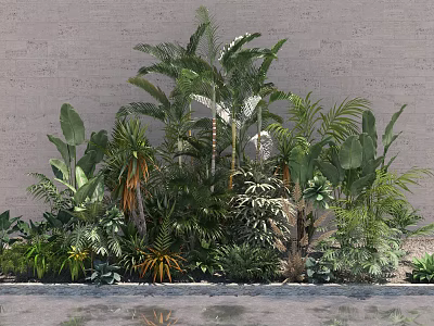 Lush Tropical Shrubs And Green Plants Against Gray Wall With Water Reflection 3d model