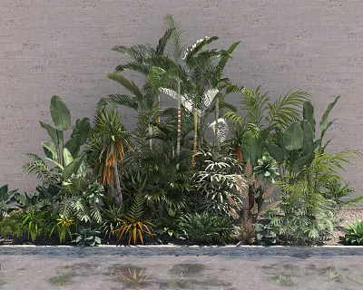 Lush Tropical Shrubs And Green Plants Against Gray Wall With Water Reflection 3d model