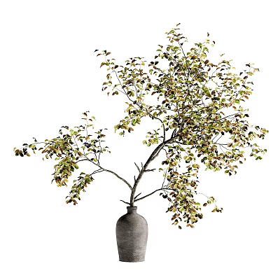 Gray Ceramic Vase With Decorative Tree Branch Green Leaves And Red Berries 3d model