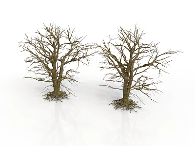 Two Leafless Trees With Exposed Trunks And Roots On White Background 3d model