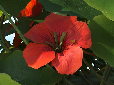 Vine with Blooming Red Flowers and Lush Green Leaves in Natural Growth 3d model