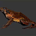 Vibrant Red Brown Reptile Featuring Blue Eyes Shiny Skin And Reflective Surface