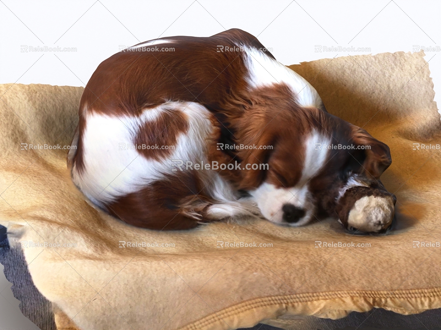 Pet dog sleeping puppy 3d model