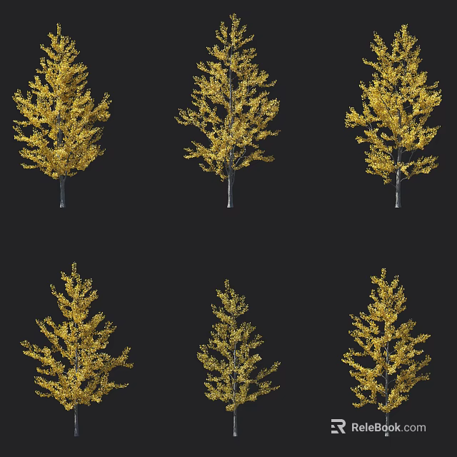Golden Leaf Arbor Trees With Yellow Foliage And Slender Trunks On Black Background 3d model 