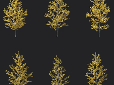 Golden Leaf Arbor Trees With Yellow Foliage And Slender Trunks On Black Background 3d model