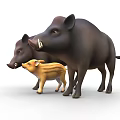 Three Wild Boars Adult Dark And Baby Yellow Striped Standing Together On White Background