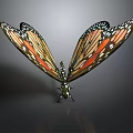 Vibrant Butterfly With Orange And Black Wings Featuring Detailed White Spots And Spread Wings