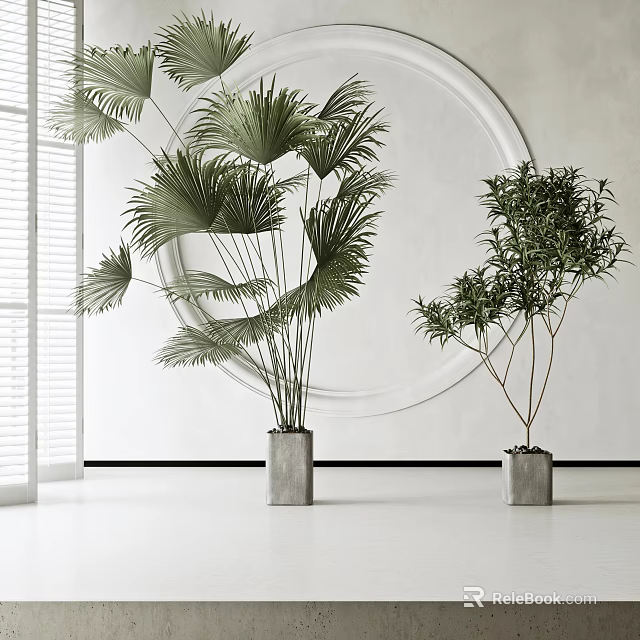 Bonsai Potted Plants With Fan Palm And Shrub In Square Gray Planters Modern White Room 3d model 