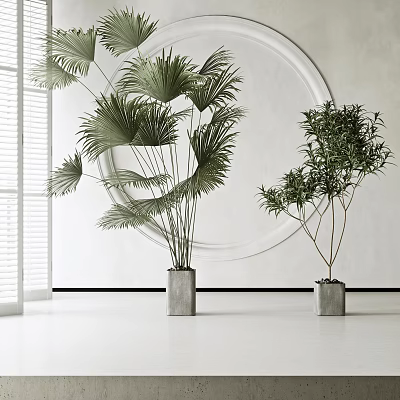 Bonsai Potted Plants With Fan Palm And Shrub In Square Gray Planters Modern White Room 3d model